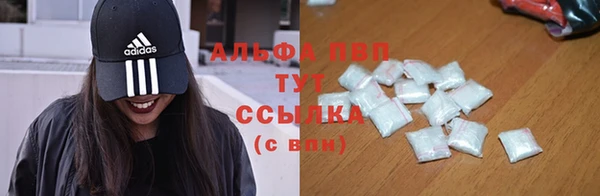 шишки Алзамай