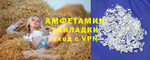 шишки Алзамай