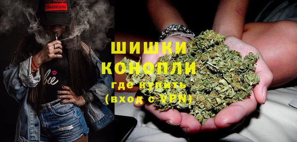 шишки Алзамай
