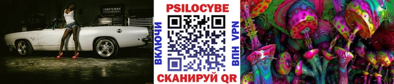OMG tor  купить наркоту  Анива  Галлюциногенные грибы мухоморы 